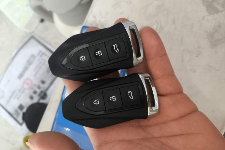 Used Leopaard CS9 2018 1.5T CVT Jingrui Model Interior 1