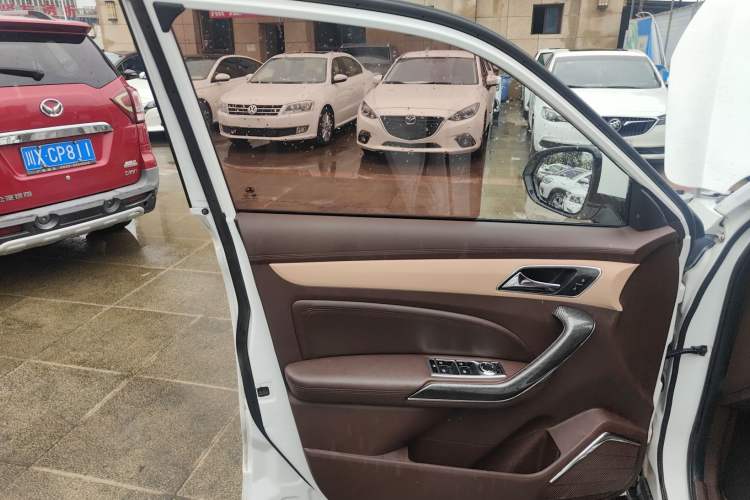 Used Leopaard CS9 2018 1.5T CVT Jingrui Model Left Front Door Interior