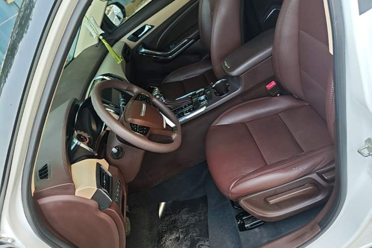 Used Leopaard CS9 2018 1.5T CVT Jingrui Model Left Front Seat