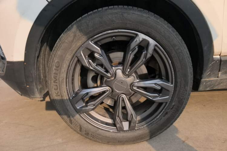 Used Leopaard CS9 2018 1.5T CVT Jinglang Model Left Front Wheel Hub