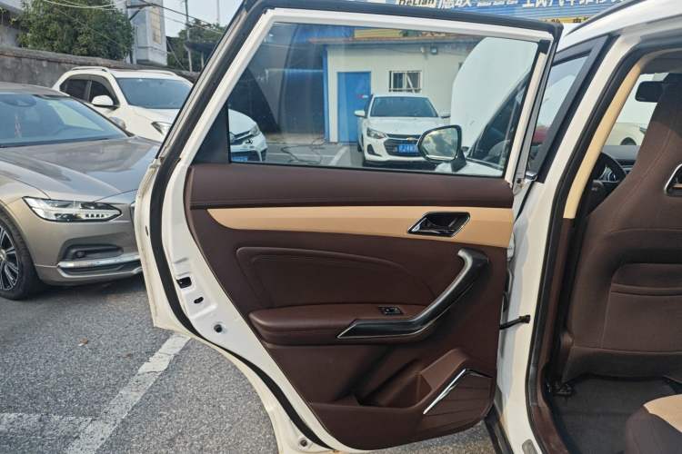 Used Leopaard CS9 2018 1.5T CVT Jingrui Model Left Rear Door Interior