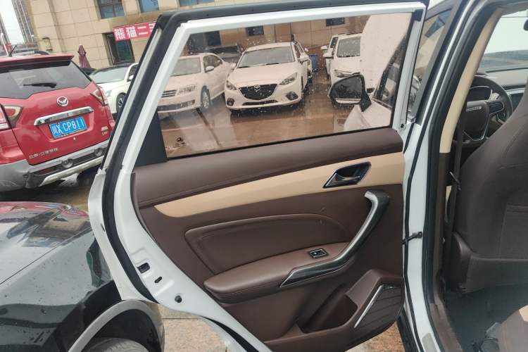 Used Leopaard CS9 2018 1.5T CVT Jingrui Model Left Rear Door Interior