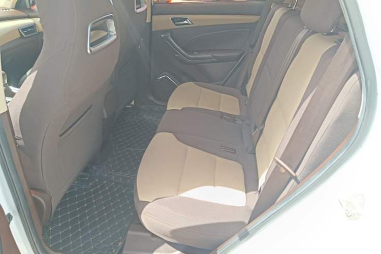 Used Leopaard CS9 2018 1.5T Manual Jingfeng Model Left Rear Seat