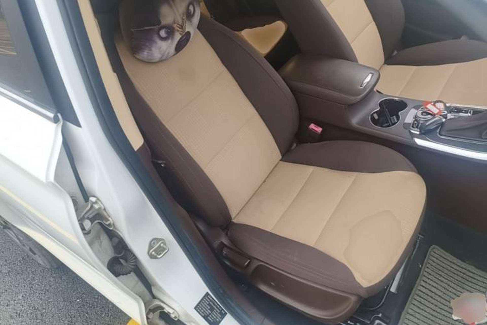 Used Leopaard CS9 2018 1.5T CVT Jingrui Model Right Front Seat