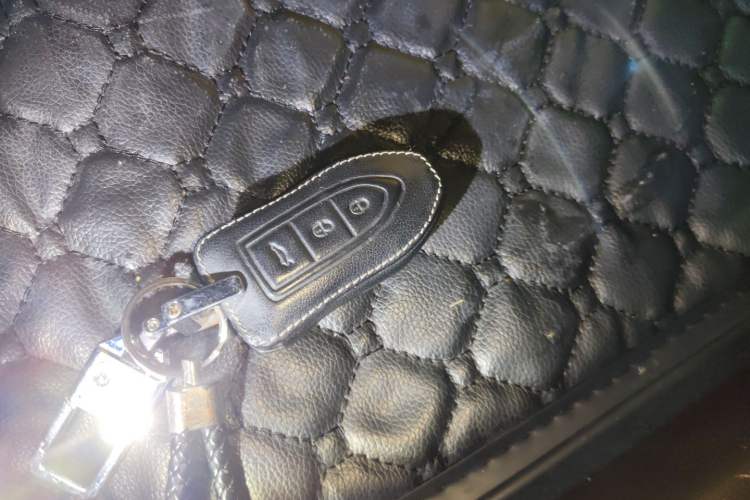 Used Leopaard CS9 2018 1.5T CVT Jingrui Model Vehicle Key