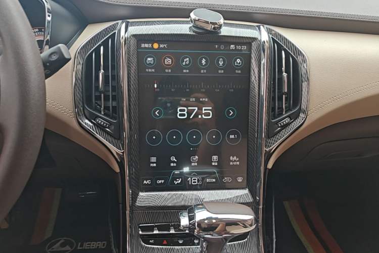Used Leopaard CS9 2018 1.5T CVT Jinglang Model Audio And AC Panel