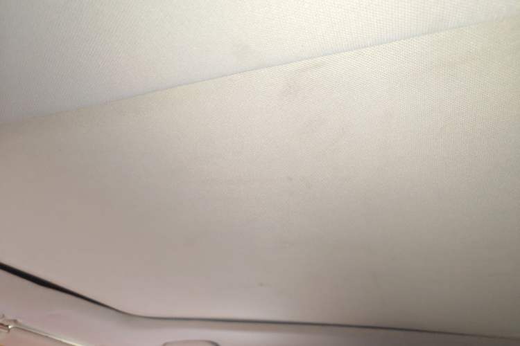 Used Leopaard CS9 2018 1.5T CVT Dynamic Model Headliner