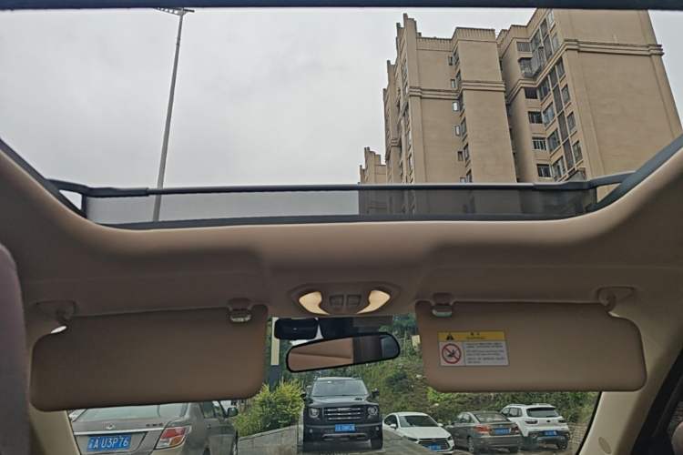 Used Leopaard CS9 2018 1.5T CVT Jinglang Model Headliner