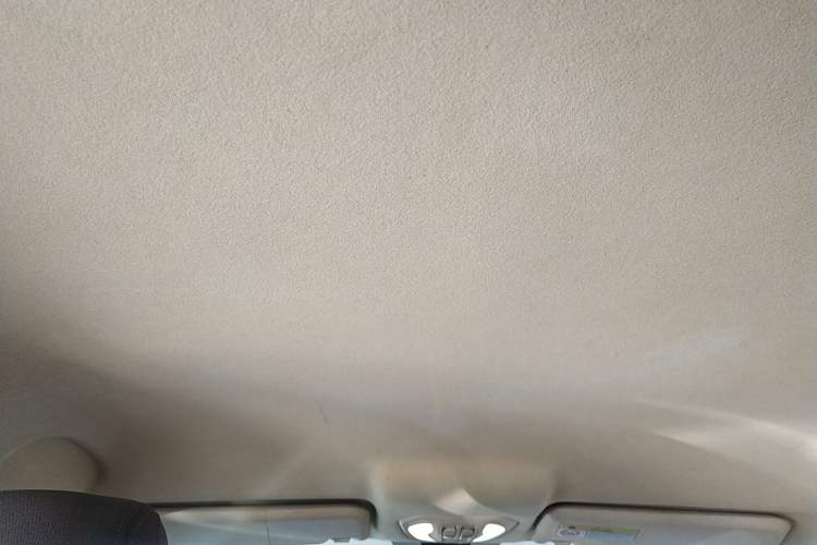 Used Leopaard CS9 2018 1.5T CVT Jingrui Model Headliner