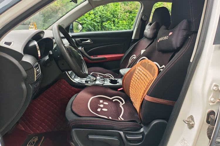 Used Leopaard CS9 New Energy 2018 EV300 Fashion Edition Left Front Seat