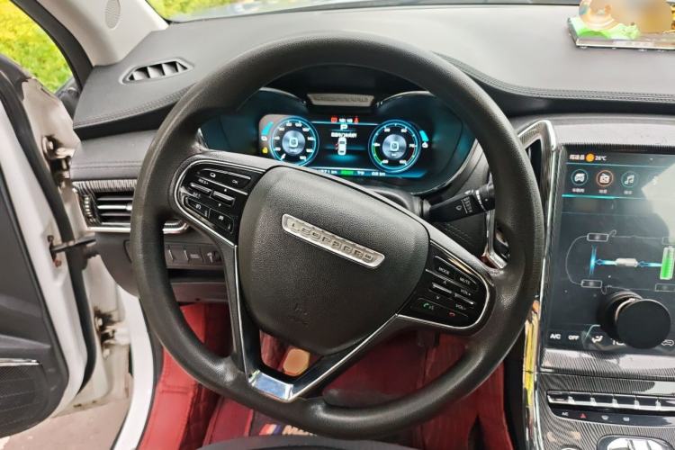 Used Leopaard CS9 New Energy 2018 EV300 Fashion Edition Steering Wheel