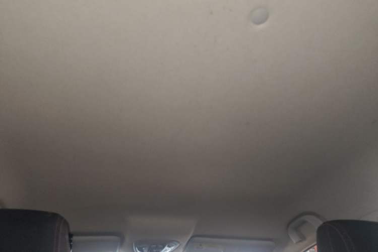 Used Leopaard CS9 New Energy 2018 EV300 Fashion Edition Headliner