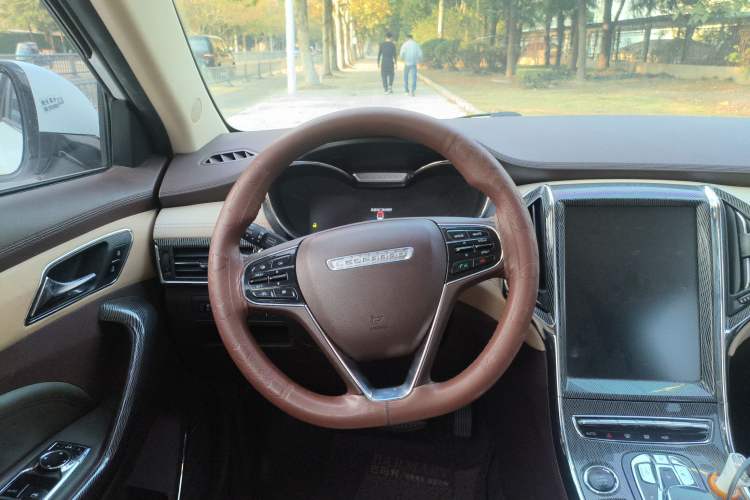 Used Leopaard CS9 New Energy 2018 EV300 Elite Edition Steering Wheel