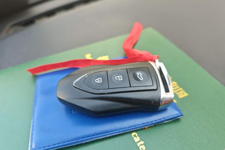 Used Leopaard CS9 New Energy 2018 EV300 Fashion Edition Vehicle Key