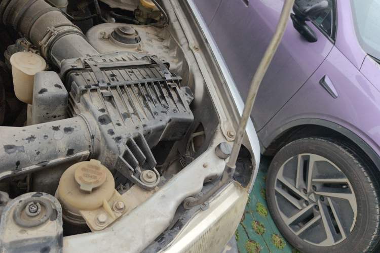 Used Leopaard Feiting 2009 2.0L 4x4 Luxury Edition Engine Bay Left