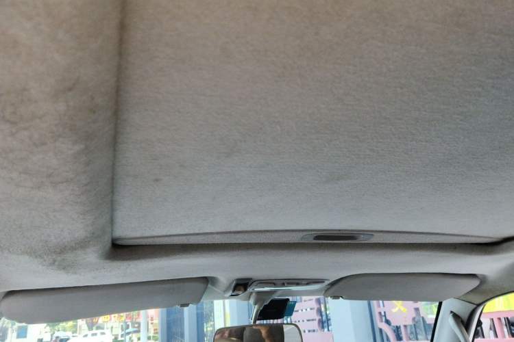 Used Leopaard Feiting 2009 2.0L 4x4 Standard Edition Headliner