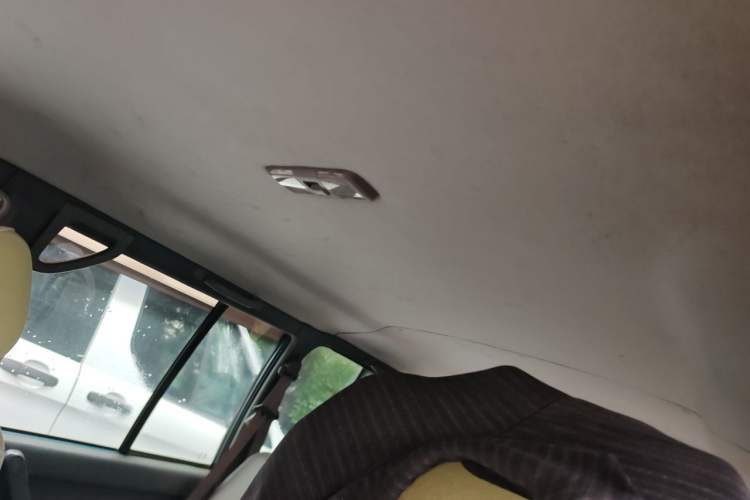 Used Leopaard Heijingang 2009 2.4L Manual Two-Wheel Drive Headliner