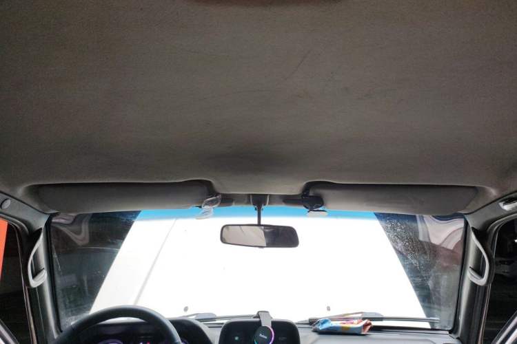Used Leopaard Heijingang 2009 2.4L Manual Two-Wheel Drive Headliner