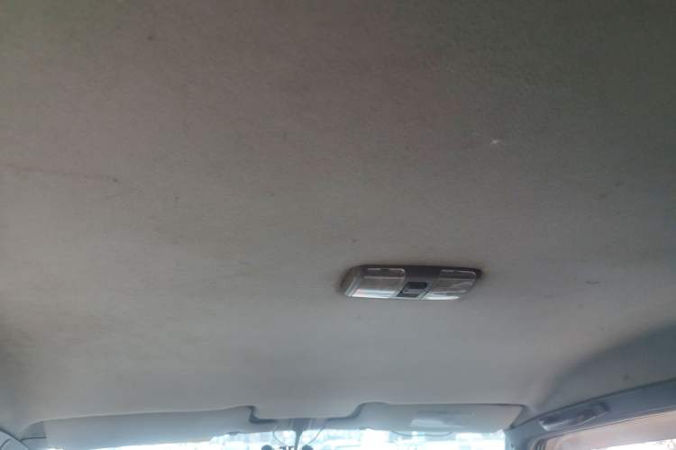 Used Leopaard Heijingang 2013 2.2L Manual 4x4 Standard Edition Headliner