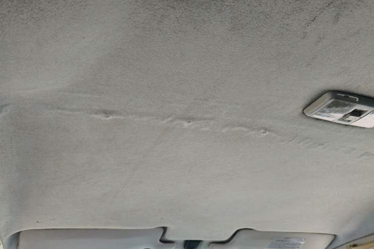 Used Leopaard Heijingang 2013 2.2L Manual 4x4 Standard Edition Headliner