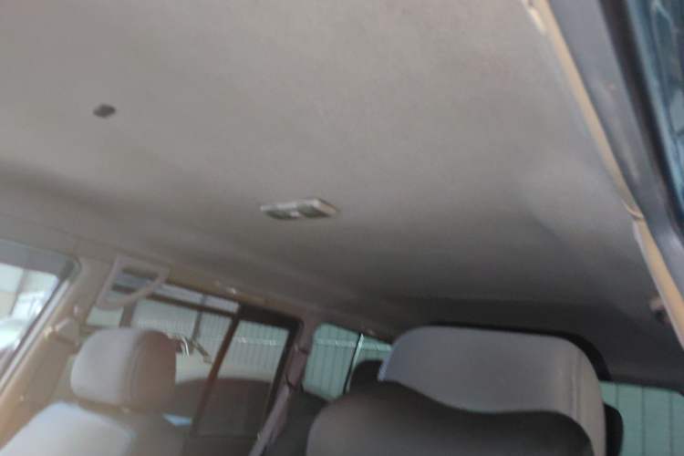 Used Leopaard Heijingang 2013 2.2L Manual 4x4 Standard Edition Headliner