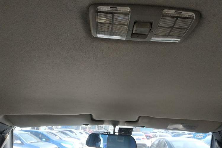 Used Leopaard Heijingang 2013 2.2L Manual Two-Wheel Drive Standard Version Headliner