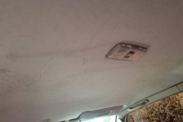 Used Leopaard Heijingang 2013 2.2L Manual Two-Wheel Drive Standard Version Headliner