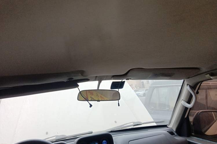 Used Leopaard Heijingang 2013 2.2L Manual Two-Wheel Drive Standard Version Headliner
