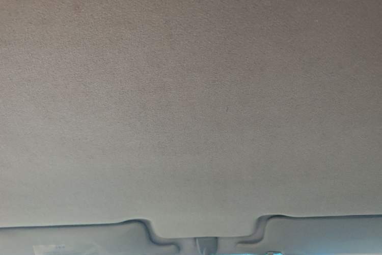 Used Leopaard Heijingang 2014 2.4L Manual 4x4 Headliner