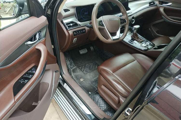 Used Leopaard Mattu 2018 1.6T GDI DCT Elite Model Driver Seat