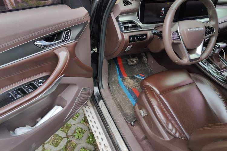 Used Leopaard Mattu 2018 1.6T GDI DCT Prestige Model Driver Seat