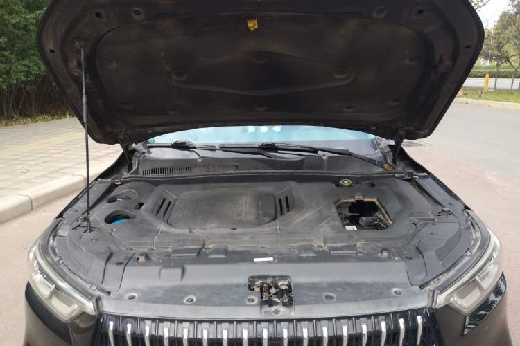 Used Leopaard Mattu 2018 1.6T GDI DCT Elite Model Engine Bay