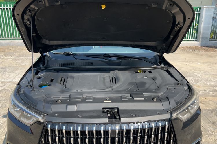 Used Leopaard Mattu 2018 1.6T GDI DCT Elite Model Engine Bay