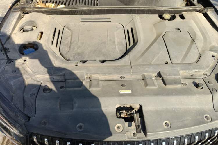 Used Leopaard Mattu 2018 1.6T GDI DCT Elite Model Engine Bay