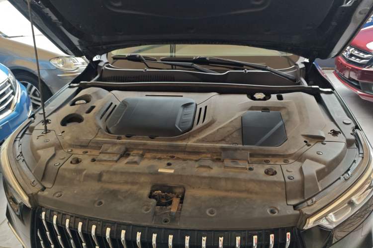 Used Leopaard Mattu 2018 1.6T GDI DCT Elite Model Engine Bay