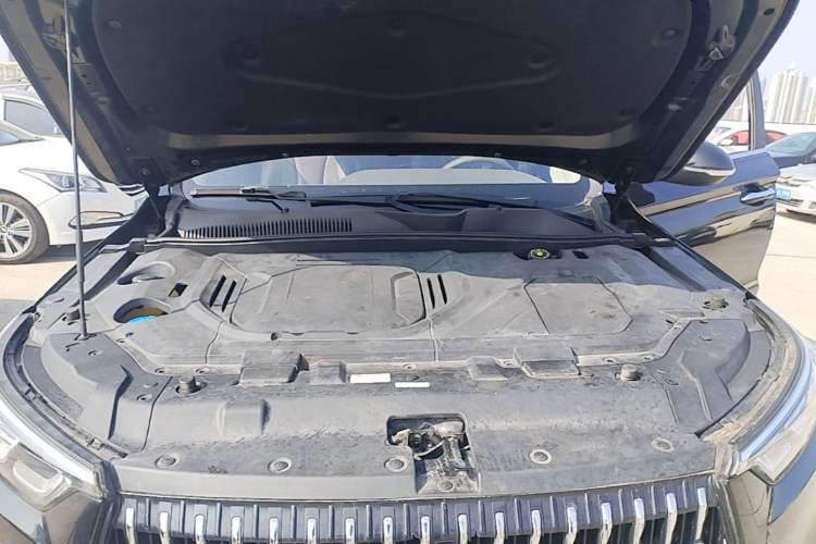 Used Leopaard Mattu 2018 1.6T GDI DCT Elite Model Engine Bay