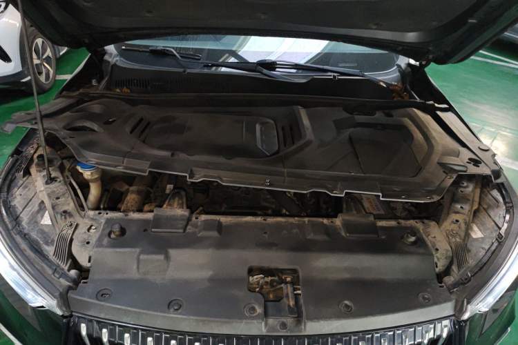 Used Leopaard Mattu 2018 1.6T GDI DCT Prestige Model Engine Bay
