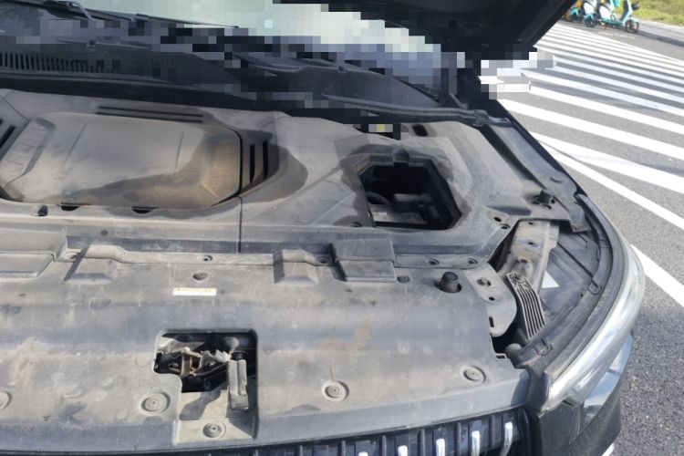 Used Leopaard Mattu 2018 1.6T GDI DCT Prestige Model Engine Bay Left