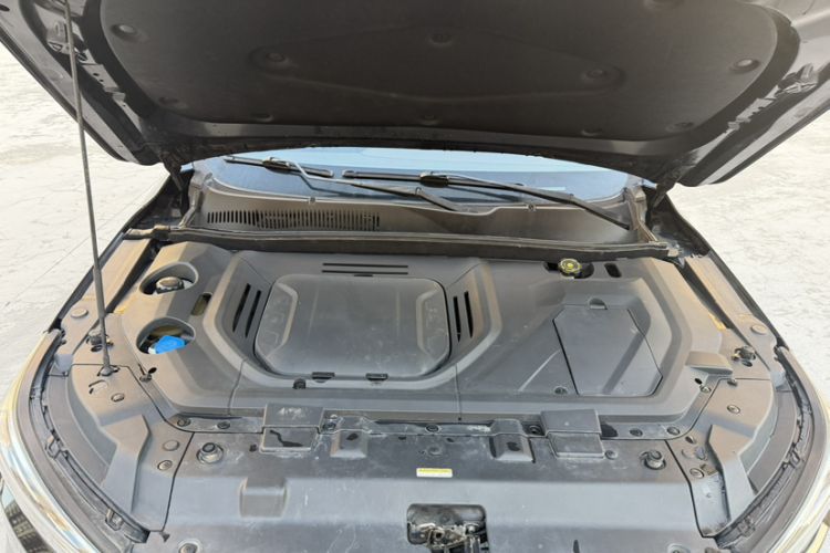 Used Leopaard Mattu 2018 1.6T GDI DCT Prestige Model Engine Bay