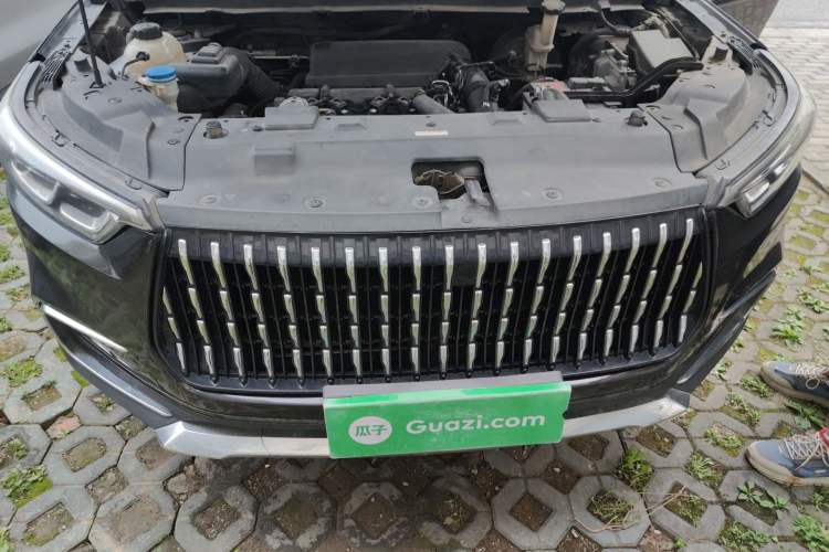 Used Leopaard Mattu 2018 1.6T GDI DCT Prestige Model Engine Bay