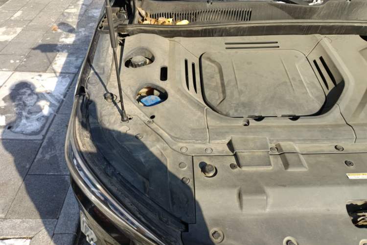 Used Leopaard Mattu 2018 1.6T GDI DCT Elite Model Engine Bay Right
