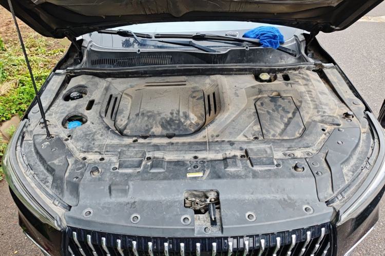 Used Leopaard Mattu 2018 1.6T GDI DCT Prestige Model Engine Bay