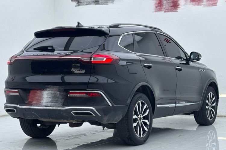 Used Leopaard Mattu 2018 1.6T GDI DCT Comfort Model Exterior 3