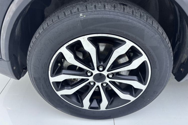 Used Leopaard Mattu 2018 1.6T GDI DCT Comfort Model Exterior 6