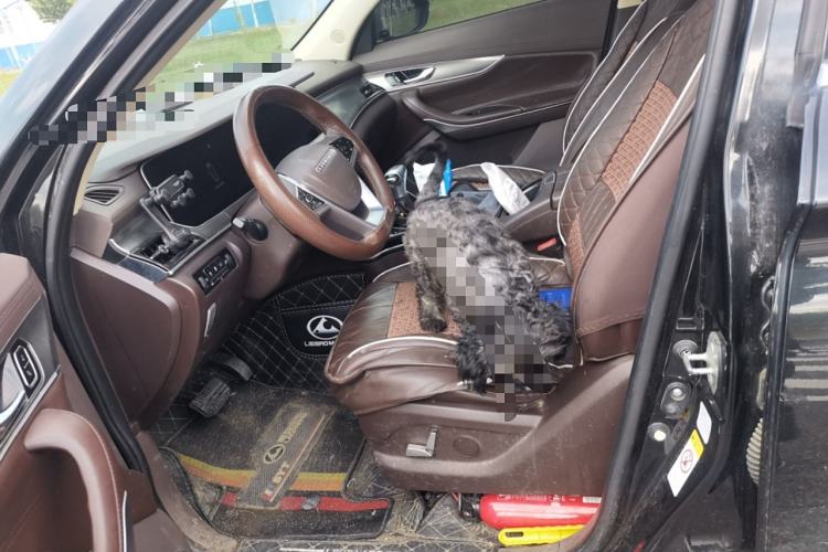 Used Leopaard Mattu 2018 1.6T GDI DCT Prestige Model Left Front Seat