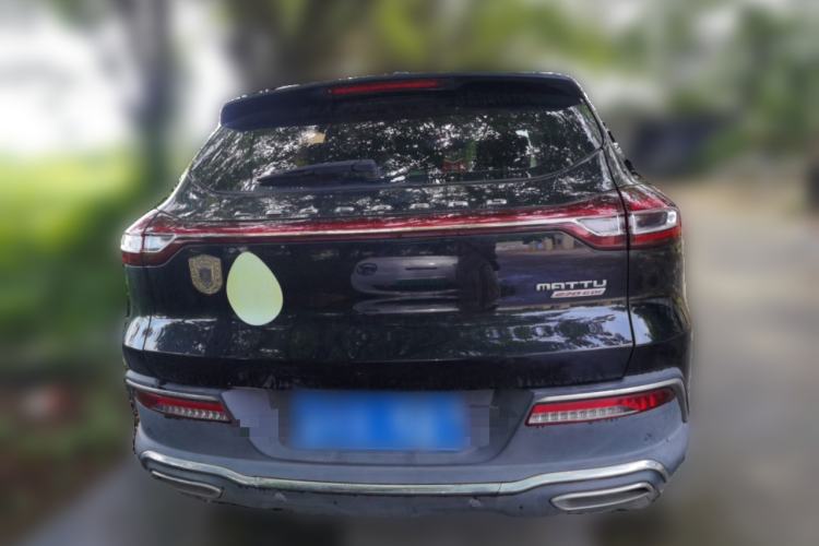 Used Leopaard Mattu 2018 1.6T GDI DCT Luxury Model Rear