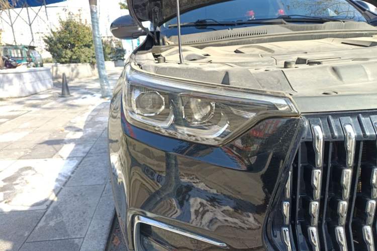 Used Leopaard Mattu 2018 1.6T GDI DCT Elite Model Right Front Headlight