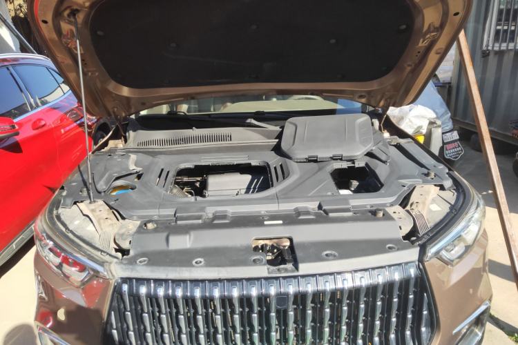 Used Leopaard Mattu 2018 1.6T GDI DCT Prestige Model Engine Bay