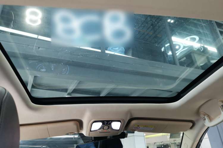 Used Leopaard Mattu 2018 1.6T GDI DCT Elite Model Headliner