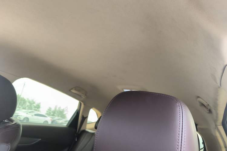 Used Leopaard Mattu 2018 1.6T GDI DCT Comfort Model Headliner